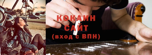 mix Богородицк